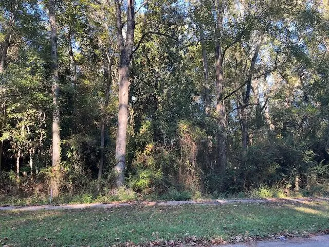 74 Chestnut Avenue, Denmark, SC 29042 - Image #1