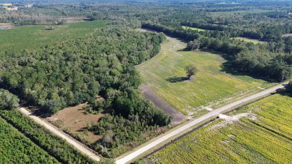 0 Mcgirt Swamp Road, Lake City, SC 29560