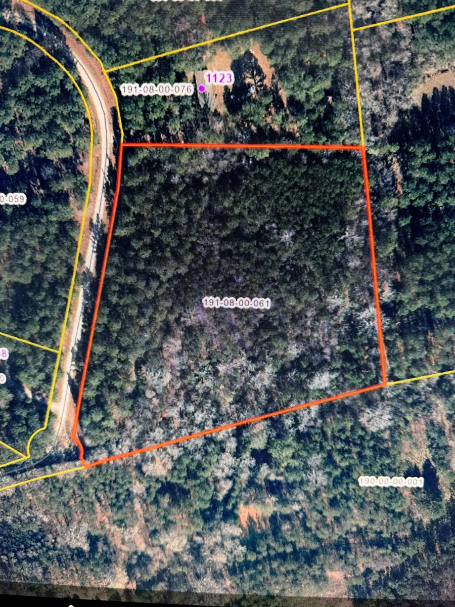 0 Sikkema Lane, Batesburg Leesville, SC 29070 - Image #2