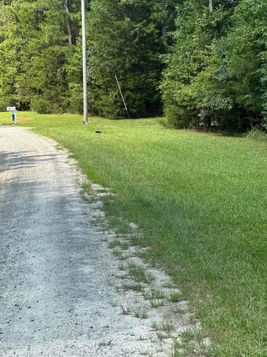0 Sikkema Lane, Batesburg Leesville, SC 29070 - Image #3