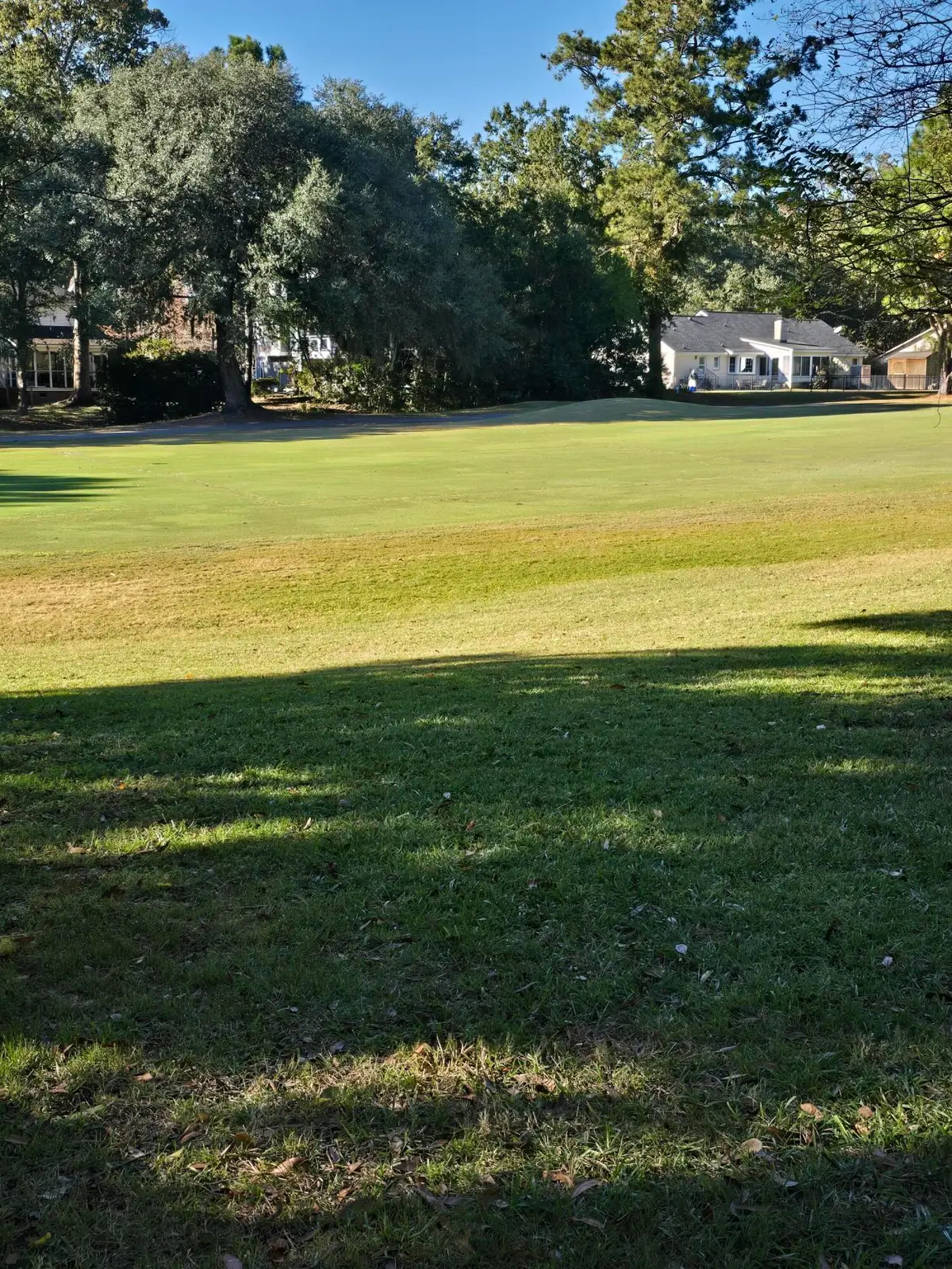 2945 Dove Haven Court, Charleston, SC 29414 - Image #1