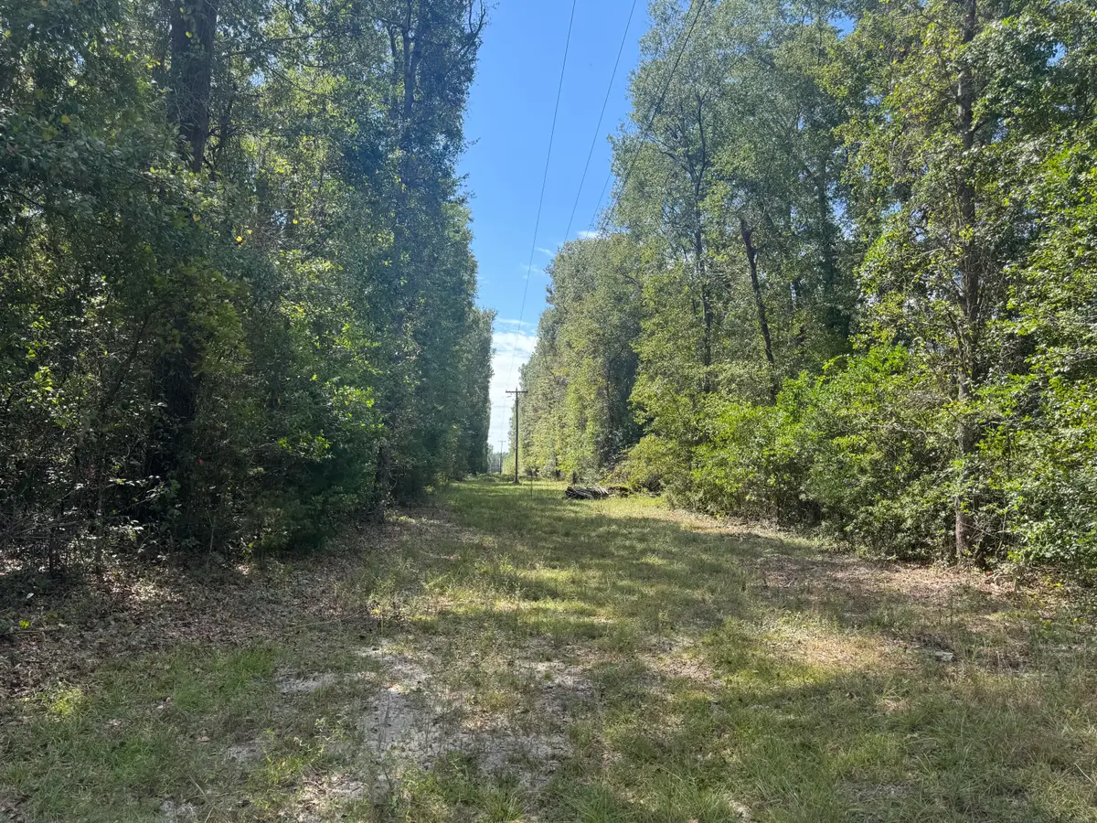 1571,1651 Creek Mill Road, North, SC 29112 - Image #1