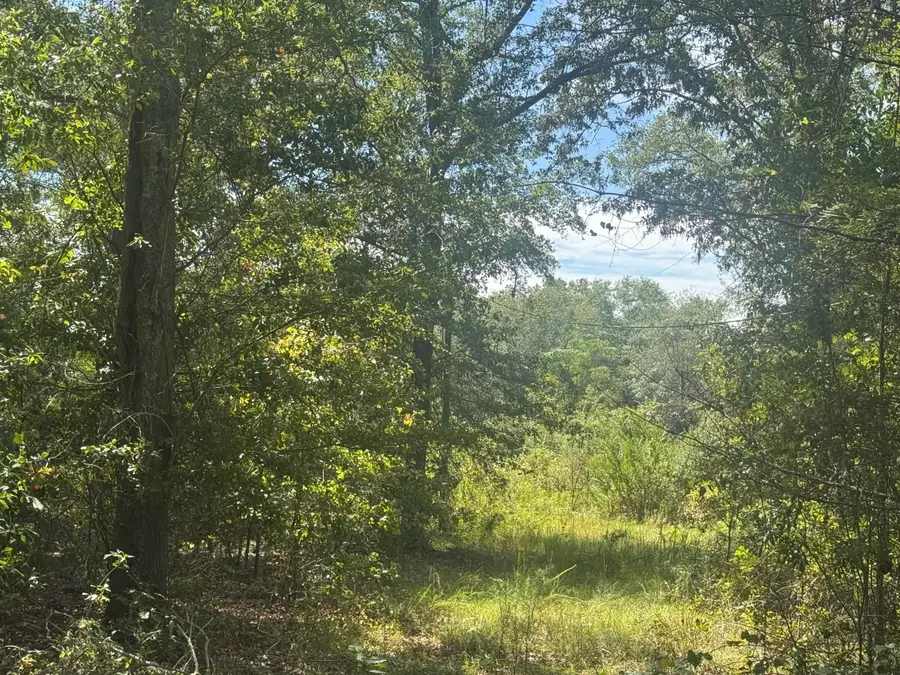 1571,1651 Creek Mill Road, North, SC 29112 - Image #3