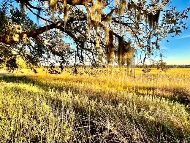 481 Paige Point, Seabrook, SC 29940 - Image #1