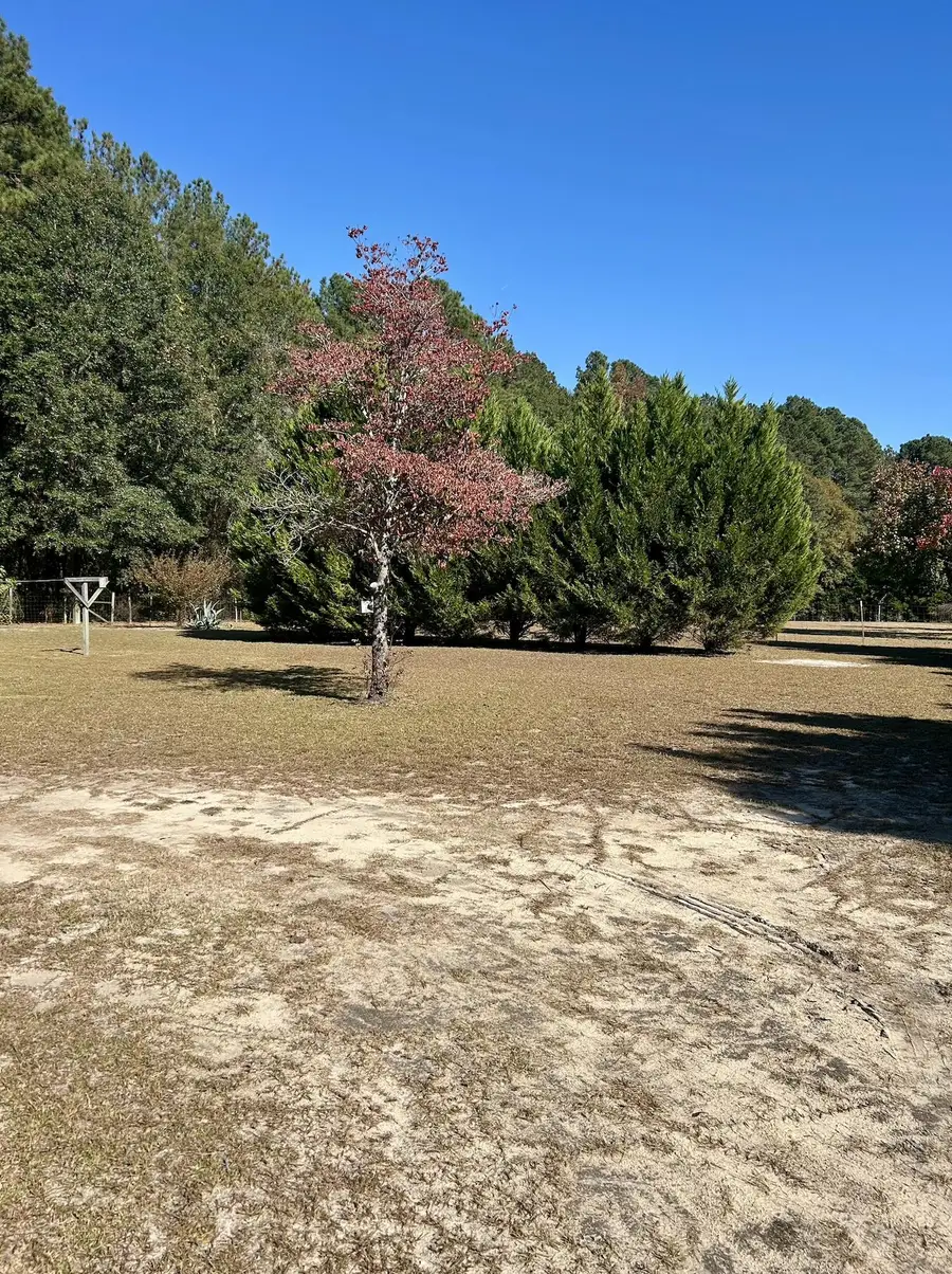 Address Withheld By Seller, Branchville, SC 29432 - Image #3