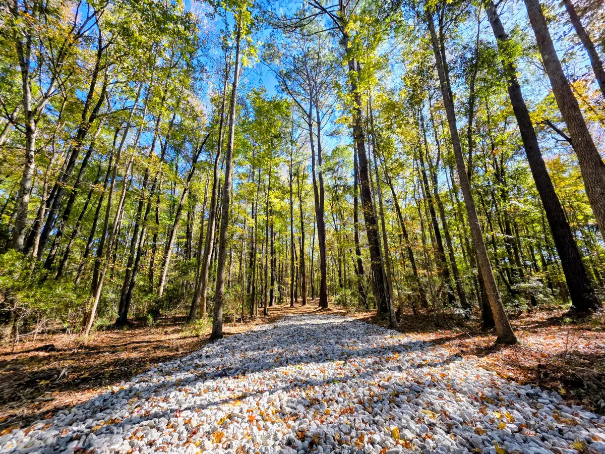 3047 Fickling Hill Road #C-1, Johns Island, SC 29455 - Image #1