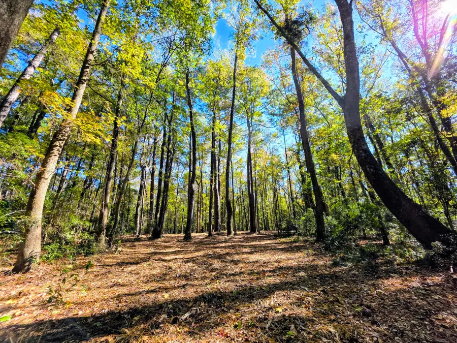 3047 Fickling Hill Road #C-1, Johns Island, SC 29455 - Image #2