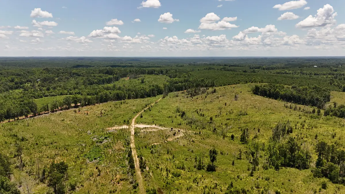 0 Halsellville Rd Road, Chester, SC 29706 - Image #1