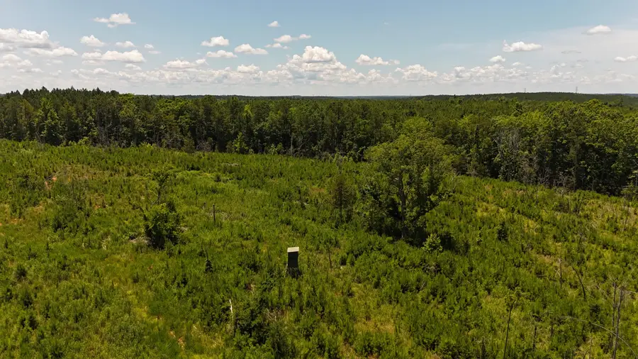 0 Halsellville Rd Road, Chester, SC 29706 - Image #3