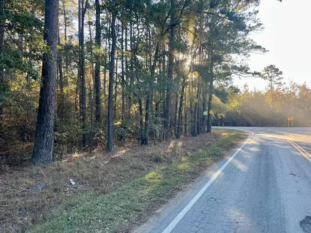 00 Second Texas Road, Saint George, SC 29477 - Image #2