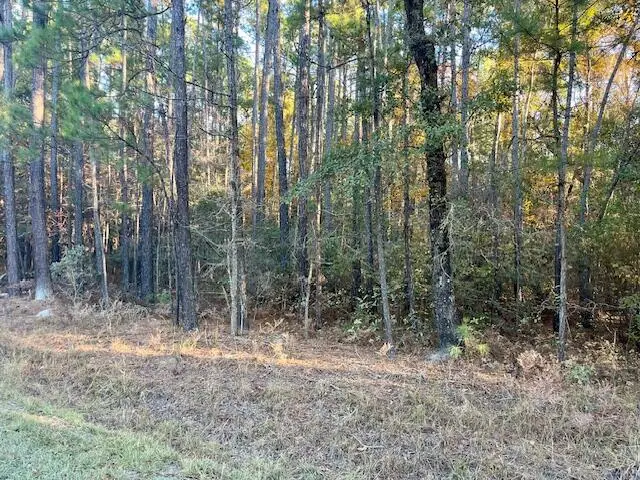 00 Second Texas Road, Saint George, SC 29477 - Image #3