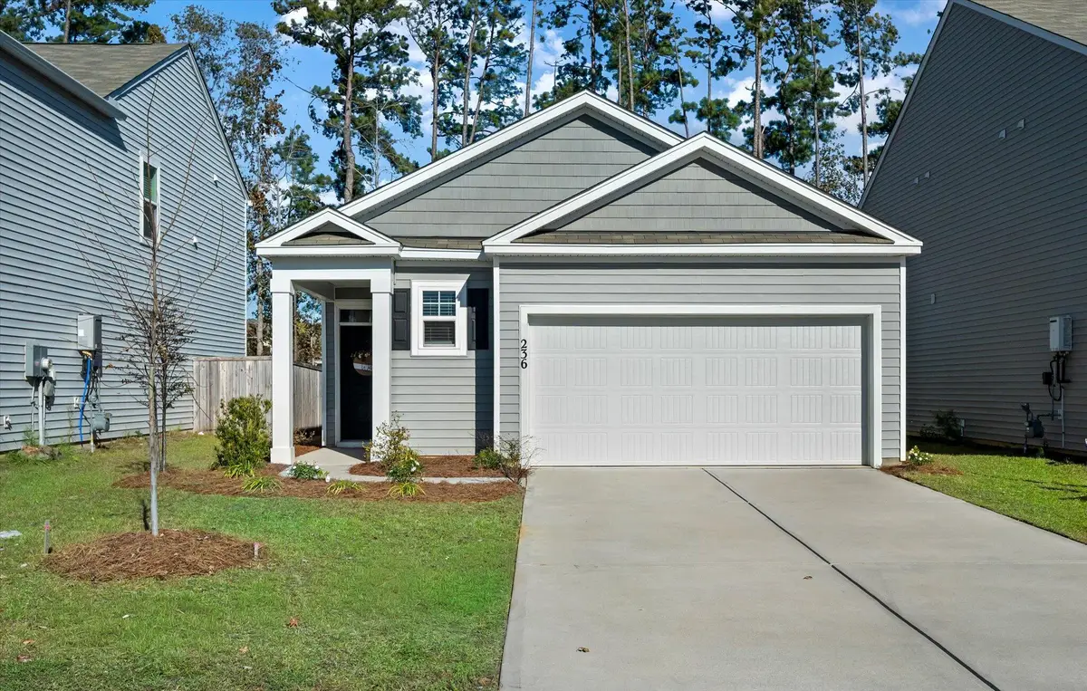 236 Sweet Cherry Lane, Summerville, SC 29486 - Image #1