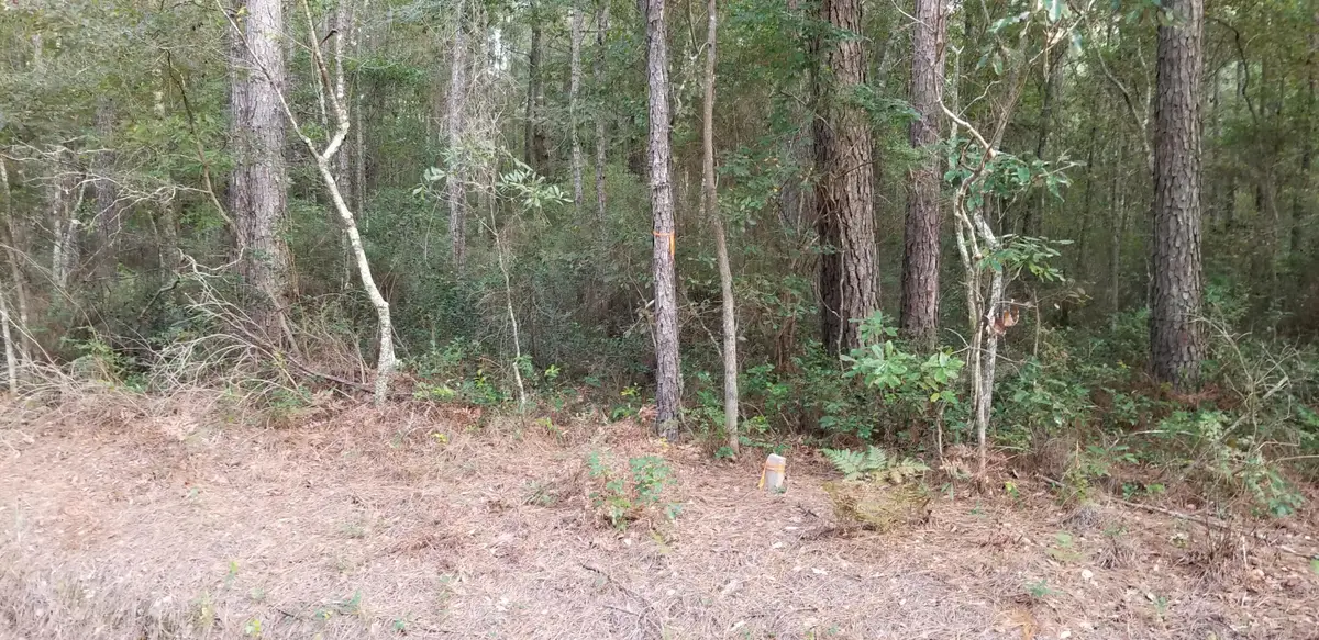 0 Jacksonboro Road, Round O, SC 29474 - Image #1