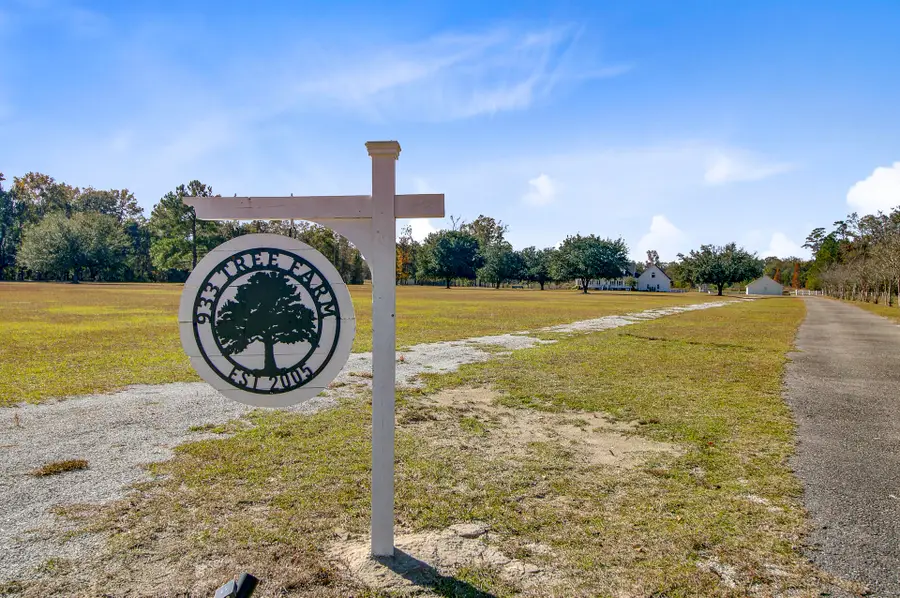 933 Tree Farm Lane, Cross, SC 29436 - Image #2