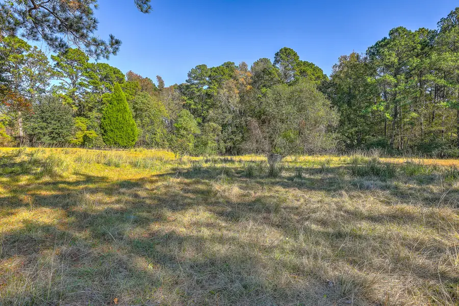 00 S Hwy 17a, Ridgeville, SC 29472 - Image #3