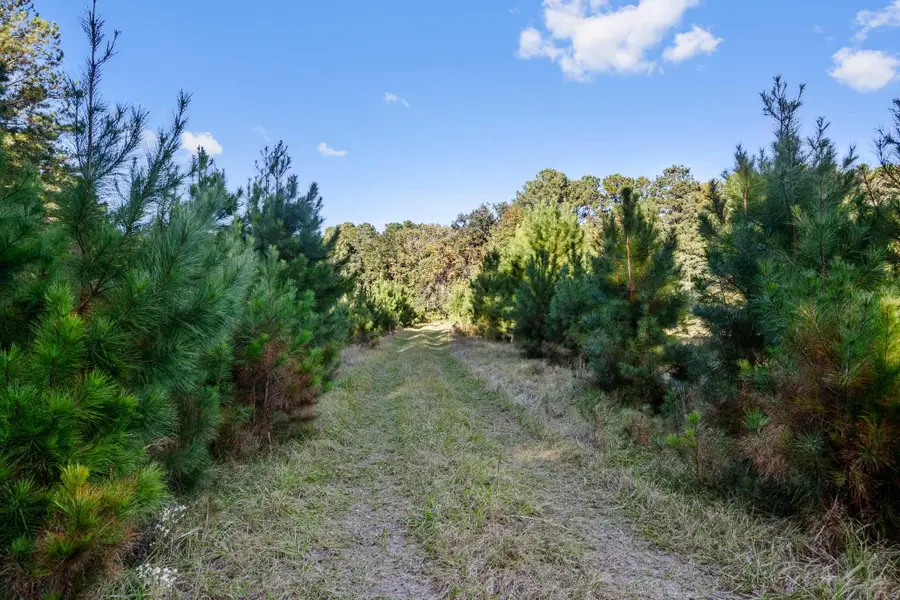 2418 Plow Ground Road, Johns Island, SC 29455 - Image #2