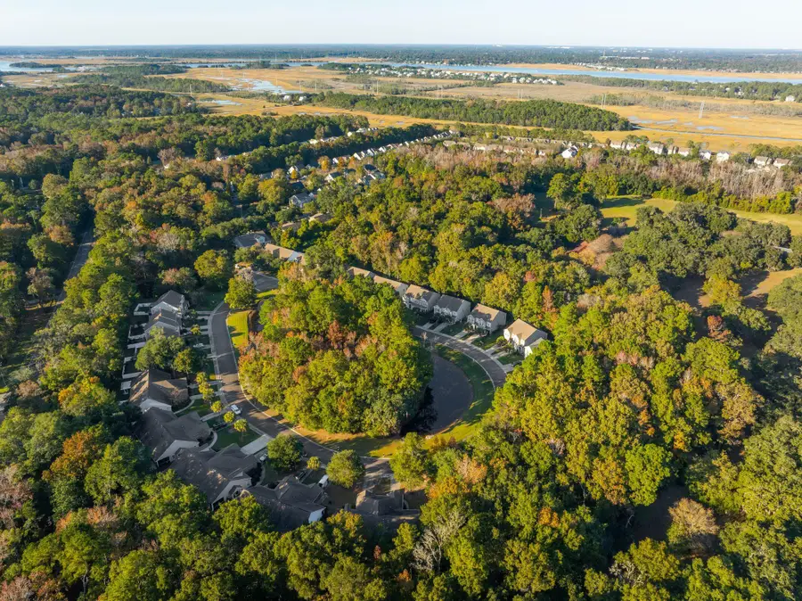 1652 Saint Johns Parrish Way, Johns Island, SC 29455 - Image #3