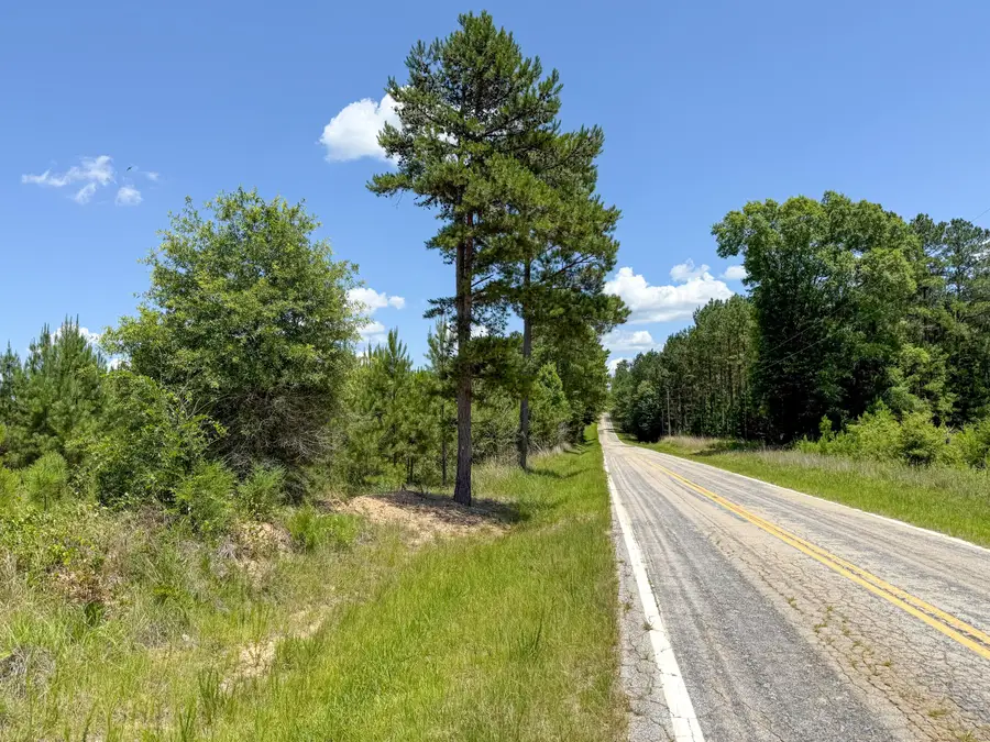 0 Cool Branch Rd, Chester, SC 29706 - Image #3