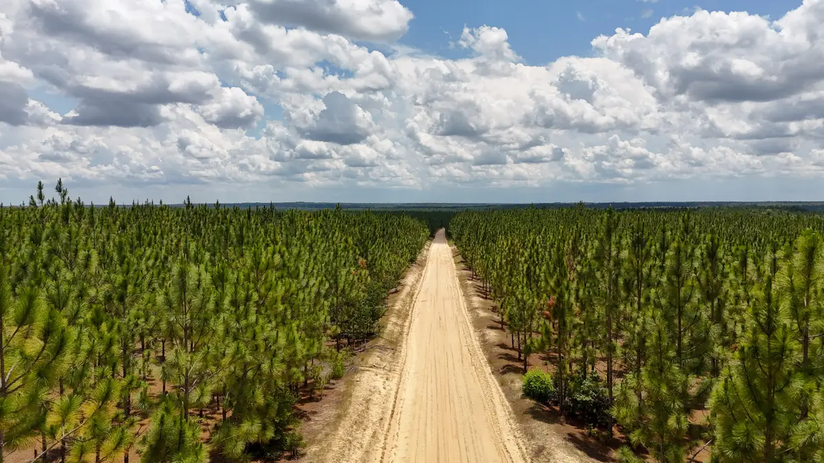 0 Beaver Dam Road, Cassatt, SC 29032 - Image #1