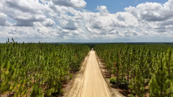 0 Beaver Dam Road, Cassatt, SC 29032