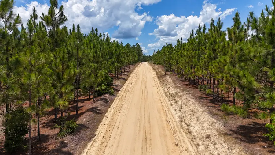 0 Beaver Dam Road, Cassatt, SC 29032 - Image #2