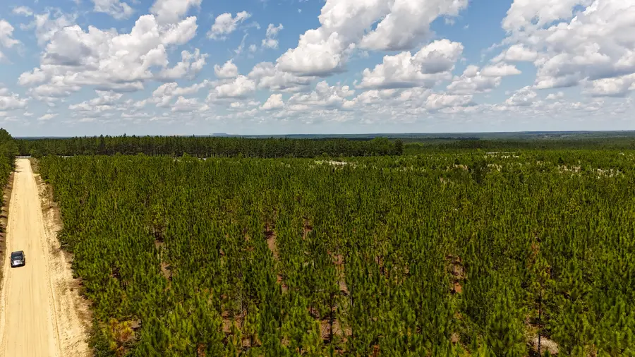 0 Beaver Dam Road, Cassatt, SC 29032 - Image #3