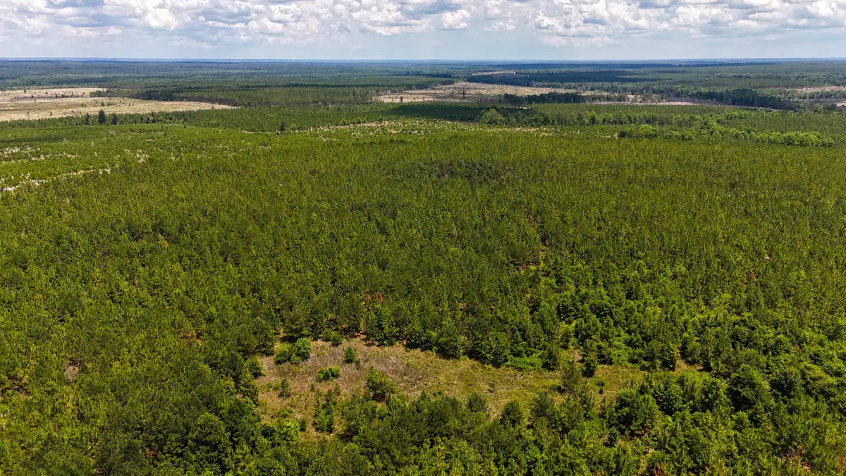 0 Beaver Dam Rd, Cassatt, SC 29032 - Image #1