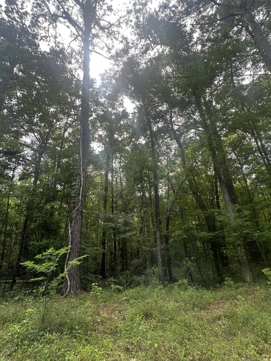 00 Weir Street, Summerville, SC 29483 - Image #2