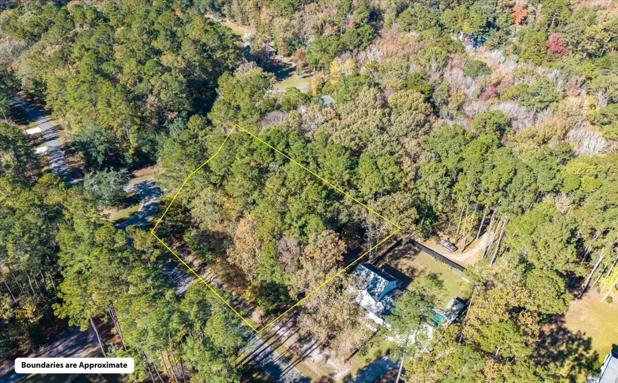 28 Buttonbush Drive, Ravenel, SC 29470 - Image #3