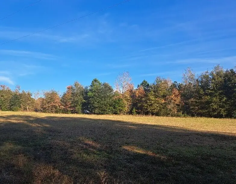 01 Joby Lane, Eutawville, SC 29048 - Image #3