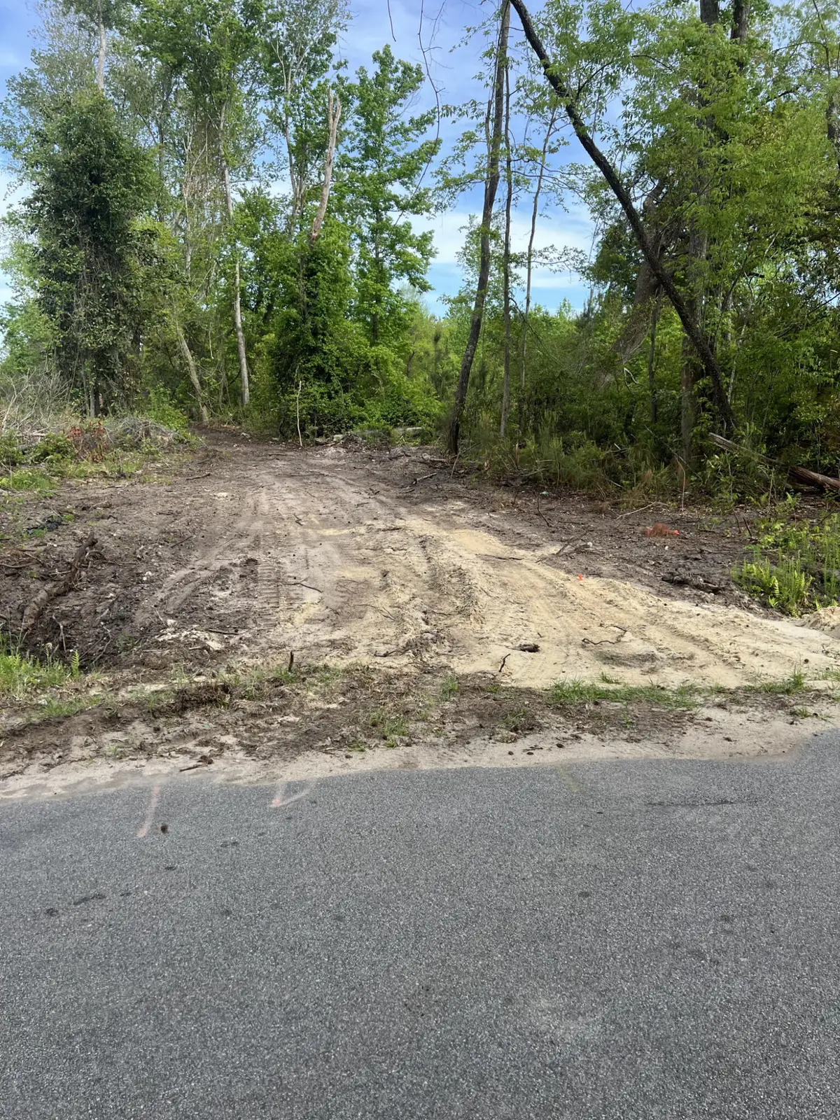 277 Herndon Street, Walterboro, SC 29488 - Image #1