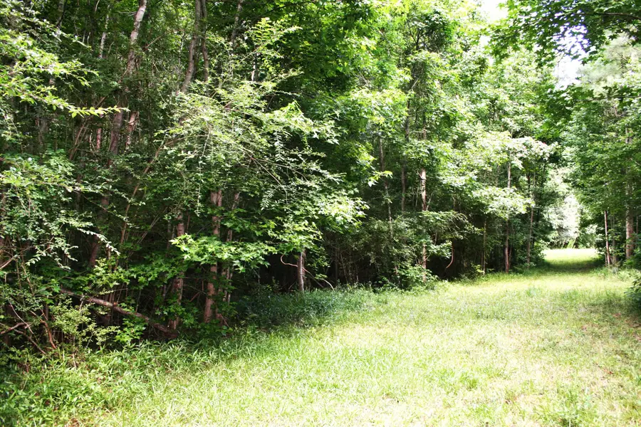 0 Kitfield Road, Moncks Corner, SC 29461 - Image #2