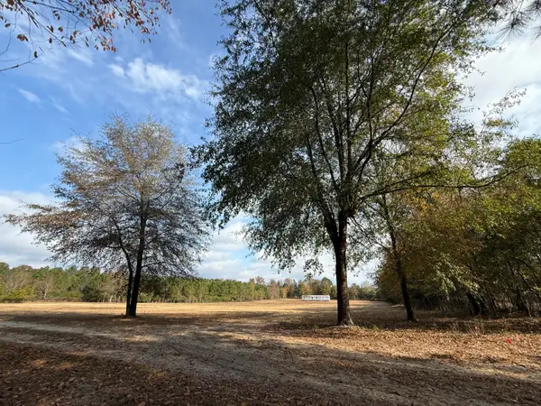 0000 Sc 39 Highway, Williston, SC 29853