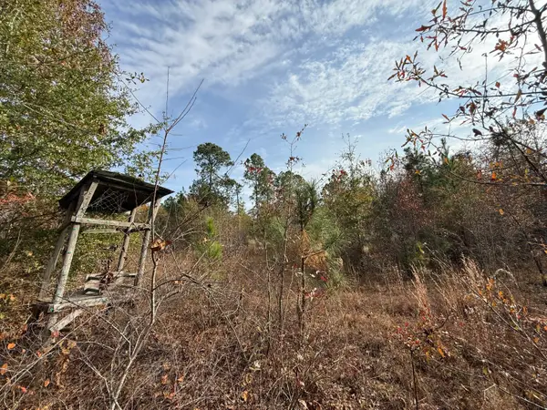 3391 Davis Bridge Road, Williston, SC 29853