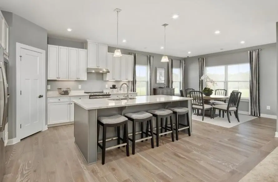 1022 Lacebark Drive, Ridgeville, SC 29472 - Image #2