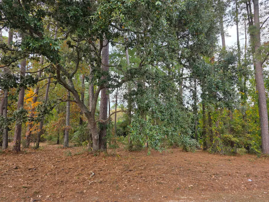 00 Cooper Circle, Santee, SC 29142 - Image #2