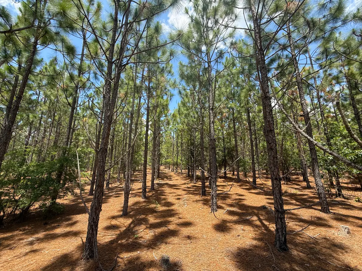 0 Beaver Dam Rd, Cassatt, SC 29032 - Image #1