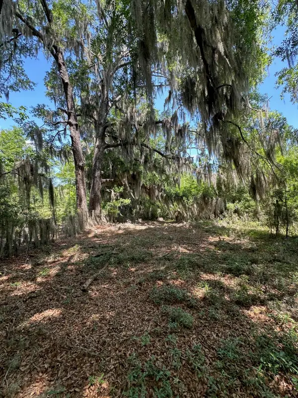 0 Willtown Road, Hollywood, SC 29449