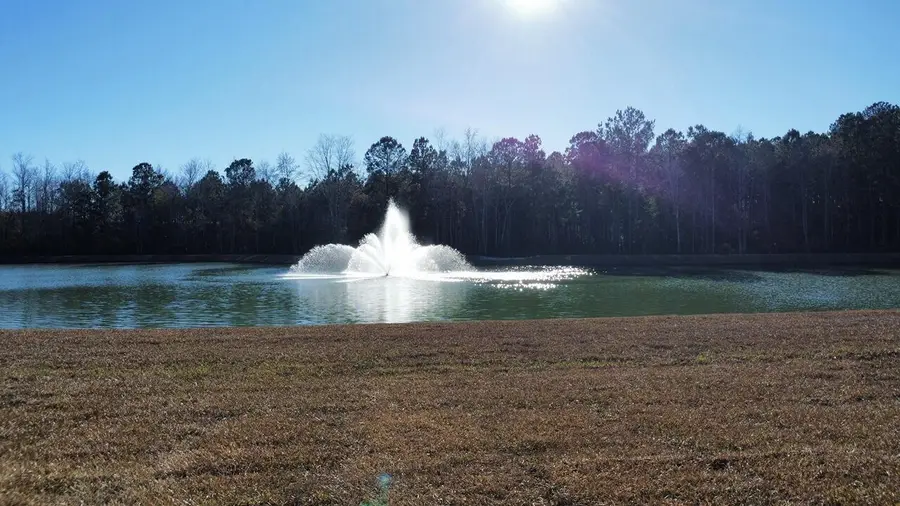 113 Midmills Lane, Summerville, SC 29486 - Image #2