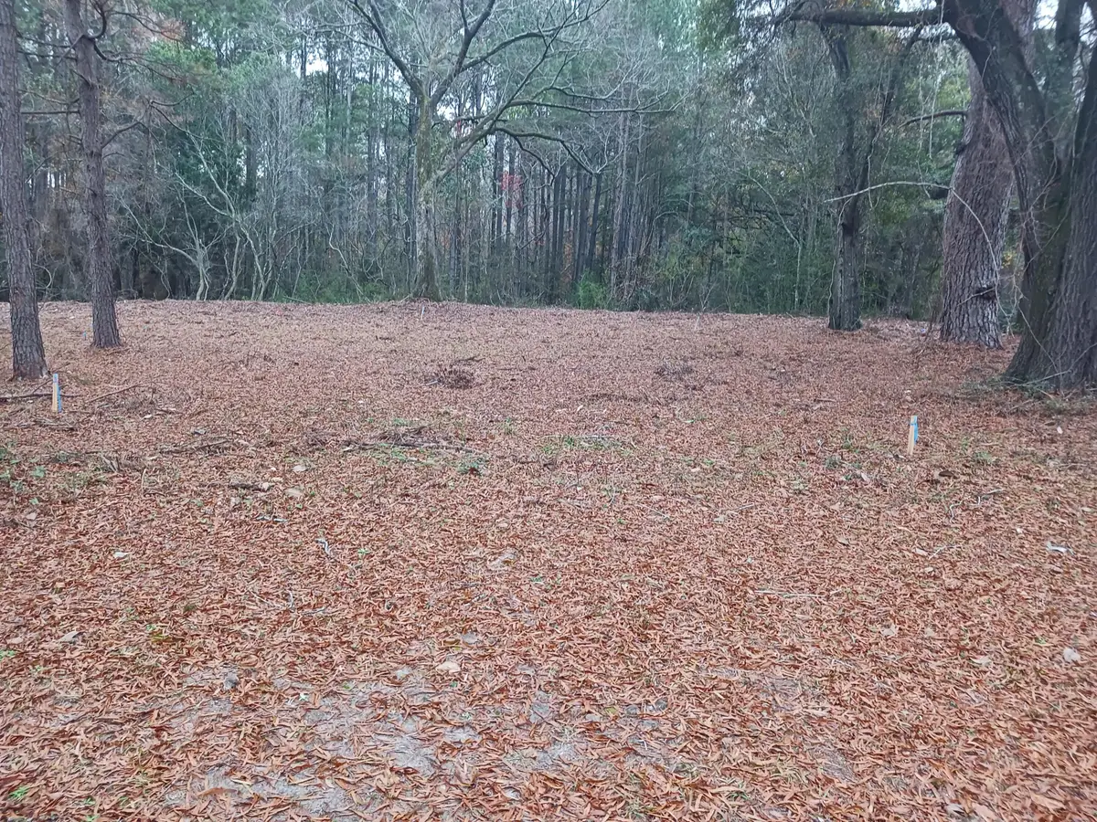 Address Withheld By Seller, Eutawville, SC 29048 - Image #1