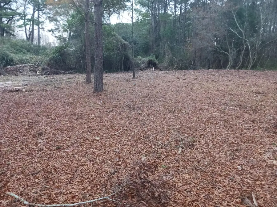 Address Withheld By Seller, Eutawville, SC 29048 - Image #2