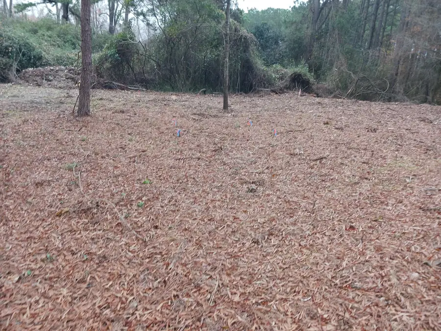 Address Withheld By Seller, Eutawville, SC 29048 - Image #3