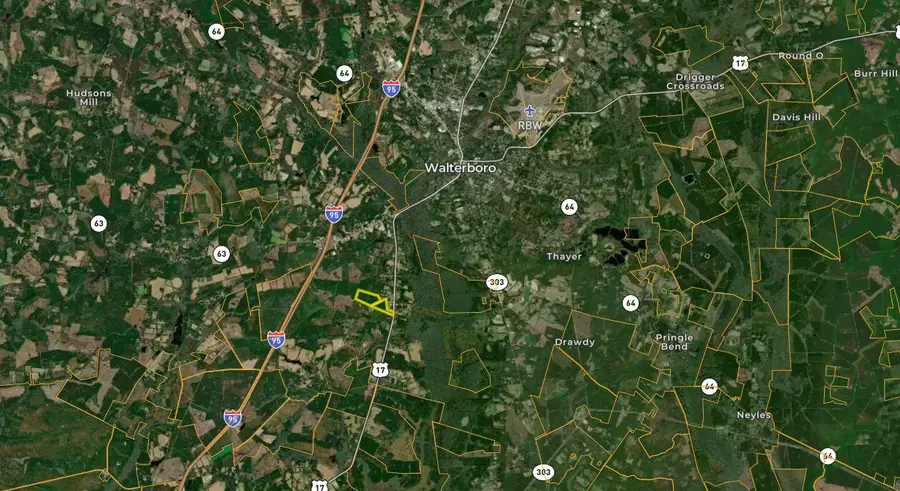 0000 Peniel Road, Walterboro, SC 29488 - Image #2