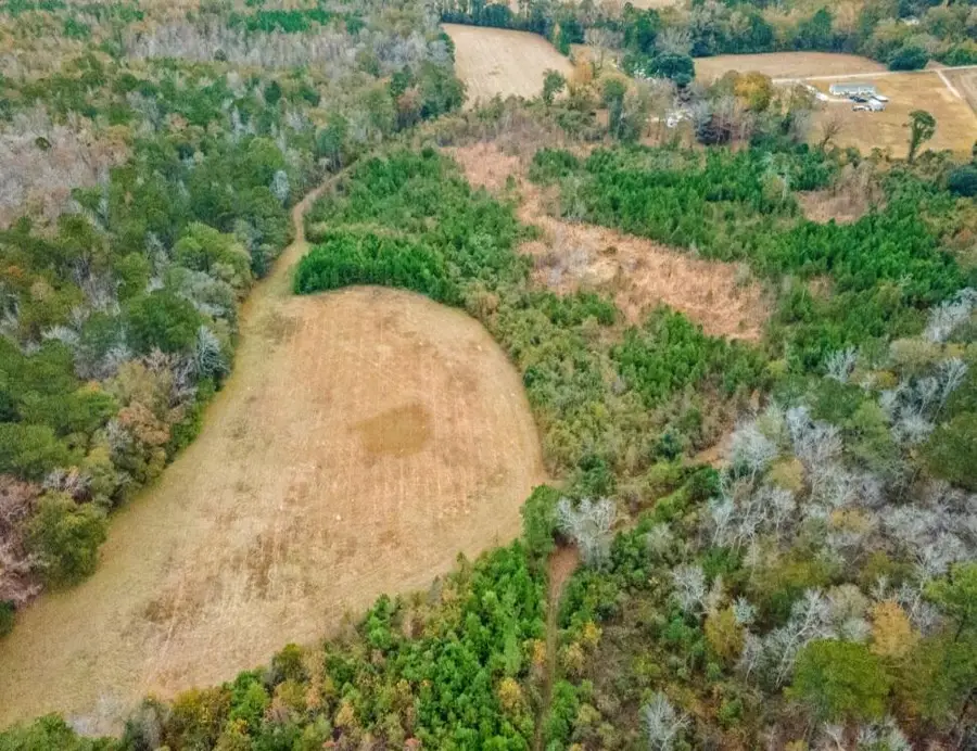 0 White Oak Lane, Harleyville, SC 29448 - Image #3