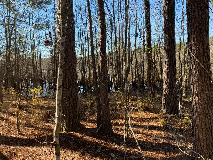 944 Hunt Drive, Huger, SC 29450 - Image #3