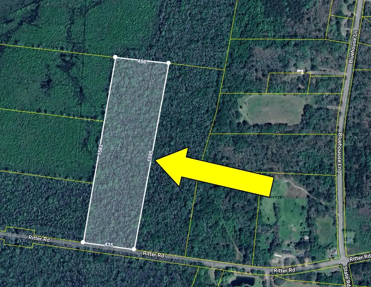 0 Ritter Road, Walterboro, SC 29488 - Image #1