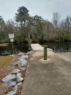 Lot 207 Prices Bridge Lane, Walterboro, SC 29488 - Image #2