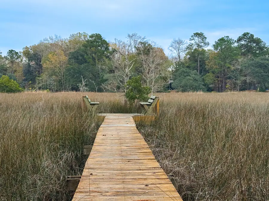 2110 Marsh Flower Lane, Charleston, SC 29414 - Image #2