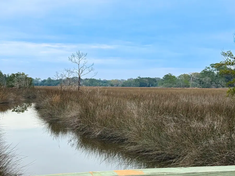 2110 Marsh Flower Lane, Charleston, SC 29414 - Image #3