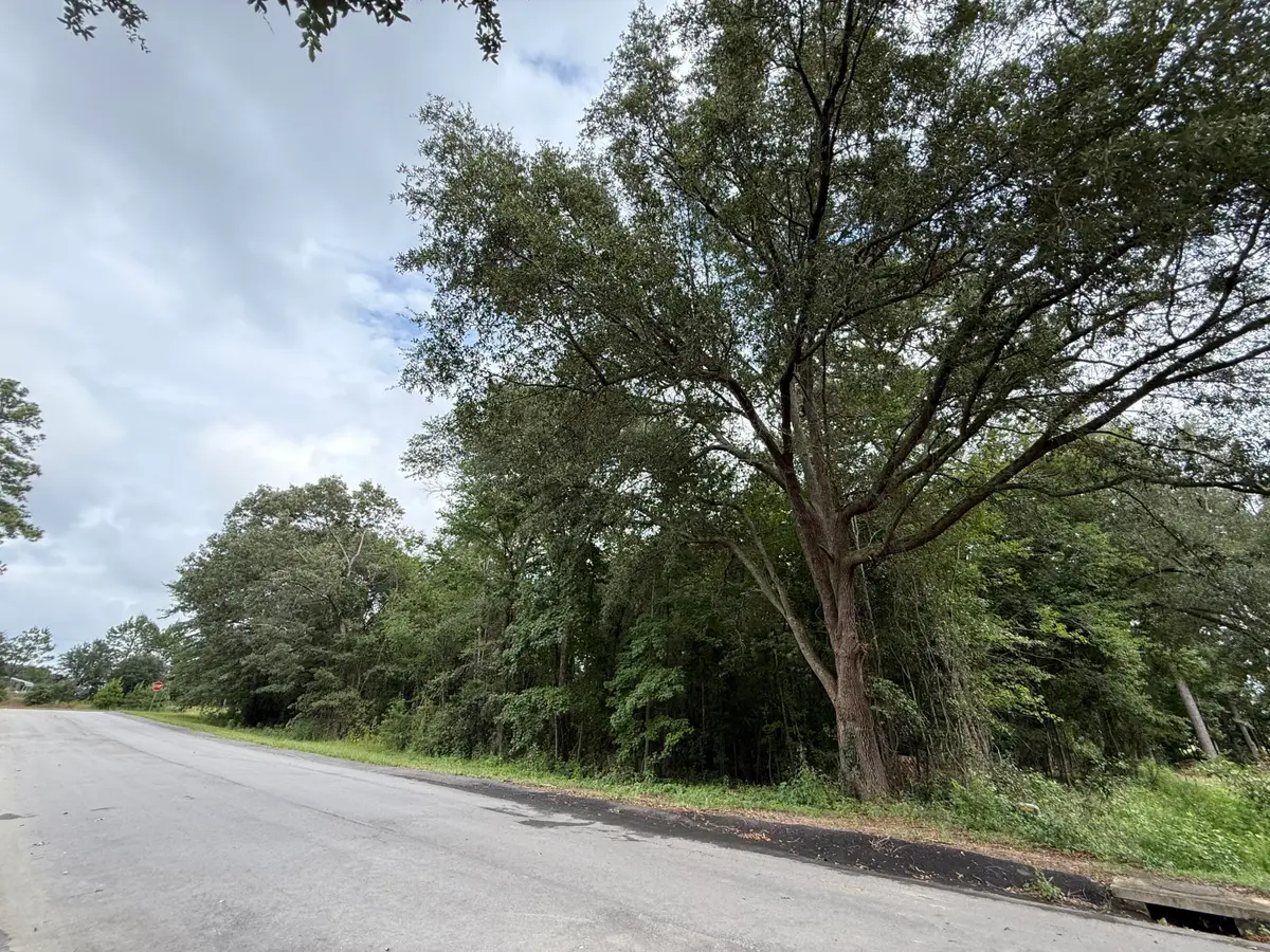 0000 Live Oak Lane, Barnwell, SC 29812 - Image #1